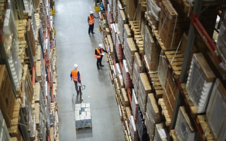 Movers and Loaders Working in Warehouse Movers and Loaders Working in Warehouse