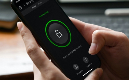 locks-and-camera locks-and-camera